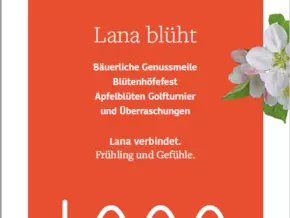 Lana blüht