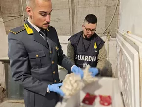 Finanzpolizei beschlagnahmt 58 Kilo Fisch in Sushi-Restaurant