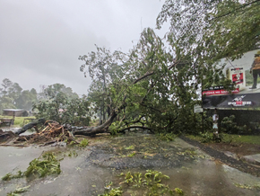 Mindestens 20 Tote bei Wirbelsturm auf Madagaskar