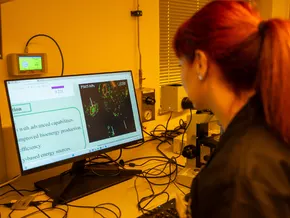 Uni Bozen entwickelt "Superpflanzen" für eine bessere Umwelt