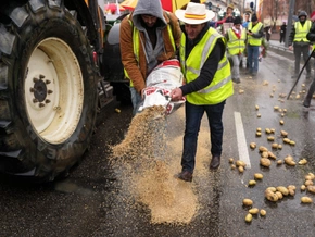 Mercosur: EU-Parlament für agrarische Schutzklauseln