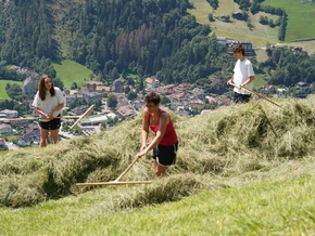 Bergbauernpreis geht an drei vorbildliche Familien