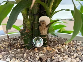 Neue Airtags: Schneller und genauer zum Schlüssel