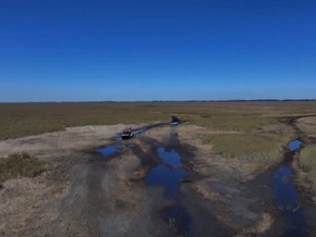 Everglades: Sumpfgebiet trocknet aus