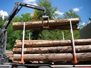 Holz-Pellets sind deutlich teurer geworden