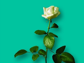 Zuhören und Dasein hilft