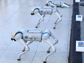 Roboter-Hunde unterstützen Polizei bei Fußball-WM in Mexiko