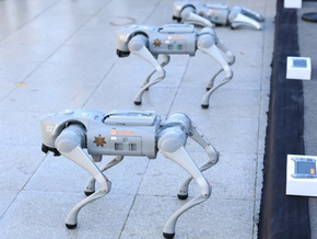 Roboter-Hunde unterstützen Polizei bei Fußball-WM in Mexiko