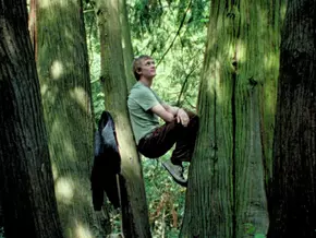 "Silent Friend": Ein Baum als Geschichtenerzähler