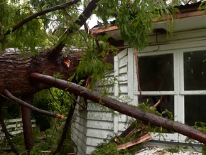 Sturmschäden: Zehntausende Haushalte ohne Strom - VIDEO