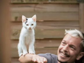 Katzenkastration ist Tierschutz