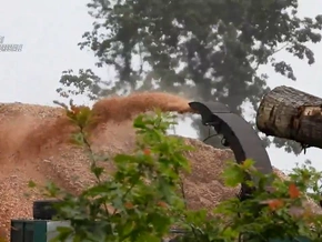 4.000 Tonnen Holz illegal in Naturpark geschlägert