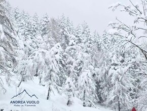 Nach Frühlingserwachen schlägt der Winter zurück