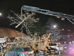 Starkwind fordert die Feuerwehren im Land