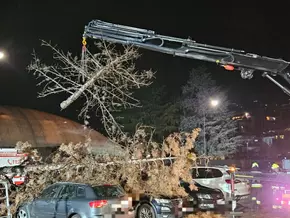 Starkwind fordert die Feuerwehren im Land