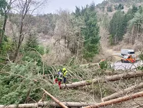 Starkwind: Feuerwehreinsätze den ganzen Tag lang