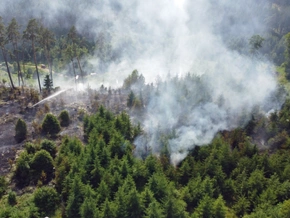 EU sagt steigender Waldbrand-Gefahr den Kampf an