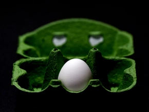 Das Ei war schon lange Zeit vor den Hühnern da