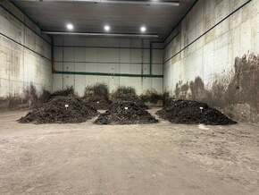 Bioabfallkreislauf schließen: Erste Erfolge für Pilotprojekt