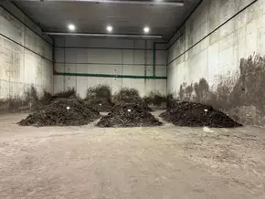 Bioabfallkreislauf schließen: Erste Erfolge für Pilotprojekt