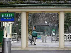 Hirschziegenantilope in Zoo Schönbrunn erschossen