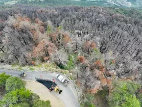 Ein Jahr nach dem Waldbrand in Latsch