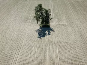 90 Prozent weniger Emissionen: EU hat neues Klimaschutzziel