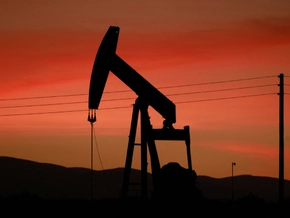 WIIW-Experte rät Österreich zu Preiseingriffen