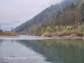 Bessere Flussdynamik in der Rienz: Schotter für Inseln und Auwälder