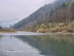 Bessere Flussdynamik in der Rienz: Schotter für Inseln und Auwälder