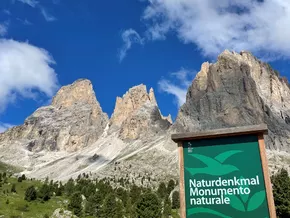 Steinerne Stadt: Schwerer Eingriff in Naturdenkmal bestätigt