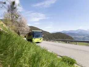 30 Sasa-Busse jetzt grüner unterwegs