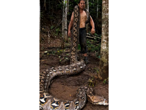 Sie nennen sie nur die “Baronin” – größte Wildschlange der Welt