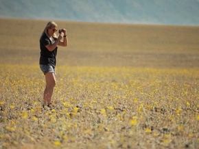 Seltenes Blütenmeer am heißesten Ort der Welt