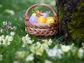 Ei(n) genialer Alleskönner