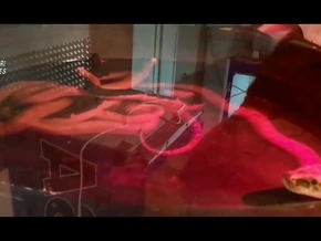 Vorbestrafter Mann hält 14 Reptilien in Wohnung