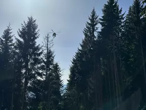 Wanderer bei Holzarbeiten nahe der Mutspitze verletzt