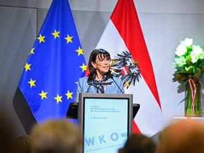 WKÖ-Schultz fordert EU-Lösungen für niedrigere Energiepreise