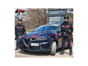 Alkohol, Drogen und Handy am Steuer