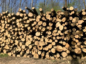 Holzzentralheizungen: 4,7 Millionen Euro an Fördermitteln ausgezahlt