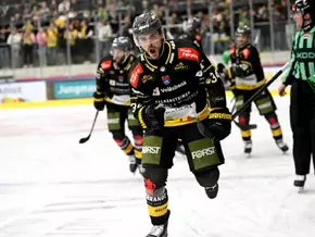 Wölfe stehen mit einem Bein im Finale