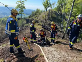 Waldbrand nördlich von Graz auf rund 70 Hektar