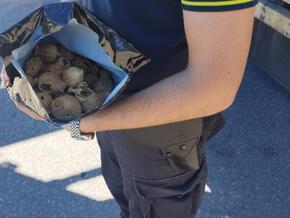 Größter Fund dieser Art in Italien