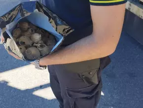 Größter Fund dieser Art in Italien