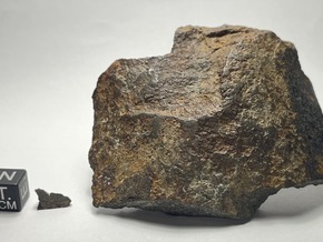 Sensation am Monte Bondone