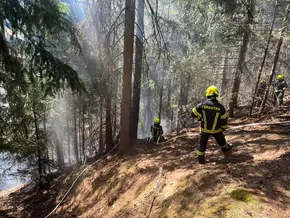 Waldbrand bei Obervintl rasch unter Kontrolle gebracht