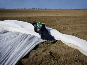 UNO: Iran-Krieg treibt über 30 Millionen Menschen in Armut