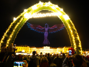 Eine Drohnenreigen zur ESC-Einstimmung in Schönbrunn
