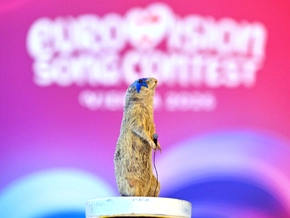 Cosmó-Ziesel & Co: Die Kultureinrichtungen feiern den ESC