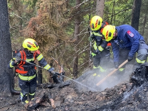 WWF fordert Schwammwald-Paket gegen Trockenheit